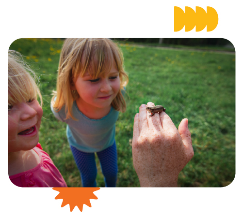 Children exploring nature and insects at Learning Center Live Oak outdoor playground
